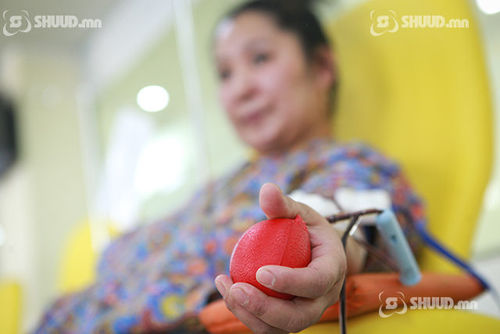 Сар бүрийн 3-н 'Цусаа бэлэглэх өдөр'